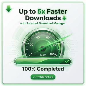 IDM官网 - IDM快速路由器日志
