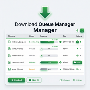 IDM官网 - IDM无障碍功能